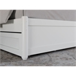 Pemberly Row Queen Platform Bed with Panel Footboard & Twin XL Trundle in White