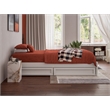Pemberly Row Twin XL Solid Wood Panel Platform Bed with Storage Drawers in White
