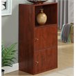 Pemberly Row Set of 2 Contemporary Two-Door Bookcases in Cherry Wood