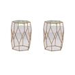 Pemberly Row Set of 2 Hexagonal Clear Glass and Metal Chairside End Tables