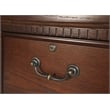 Pemberly Row Transitional 2-Drawers Wood Filing Cabinet in Oak