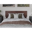 Pemberly Row Twin XL Solid Wood Modern Low Profile Platform Bed in Walnut