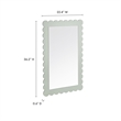 Pemberly Row Contemporary Wall Hanging Mirror in Sage Finish
