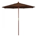 Teak