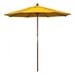Sunflower Yellow