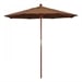 Teak