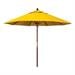 Sunflower Yellow