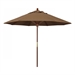 Teak