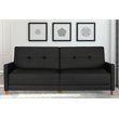 Pemberly Row Coil Faux Leather Convertible Sofa in Black Finish