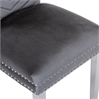 Pemberly Row 2Pc Stainless Steel Legs Chair Finish with Velvet Fabric in Gray