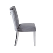 Pemberly Row 2Pc Stainless Steel Legs Chair Finish with Velvet Fabric in Gray