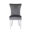 Pemberly Row 2Pc Stainless Steel Legs Chair Finish with Velvet Fabric in Gray