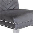 Pemberly Row 2Pc Stainless Steel Legs Chair Finish with Velvet Fabric in Gray