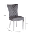 Pemberly Row 2Pc Stainless Steel Legs Chair Finish with Velvet Fabric in Gray