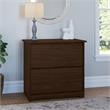 Pemberly Row 2 Drawer Lateral File Cabinet in Modern Walnut - Engineered Wood
