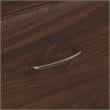 Pemberly Row 2 Drawer Lateral File Cabinet in Modern Walnut - Engineered Wood