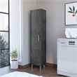 Pemberly Row Contemporary Engineered Wood Storage Cabinet in Smoky Oak