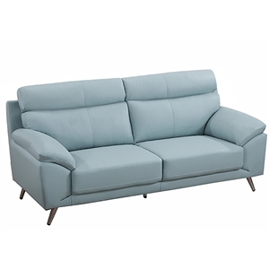 Pemberly Row Modern / Contemporary Leather Sofa in Light Blue