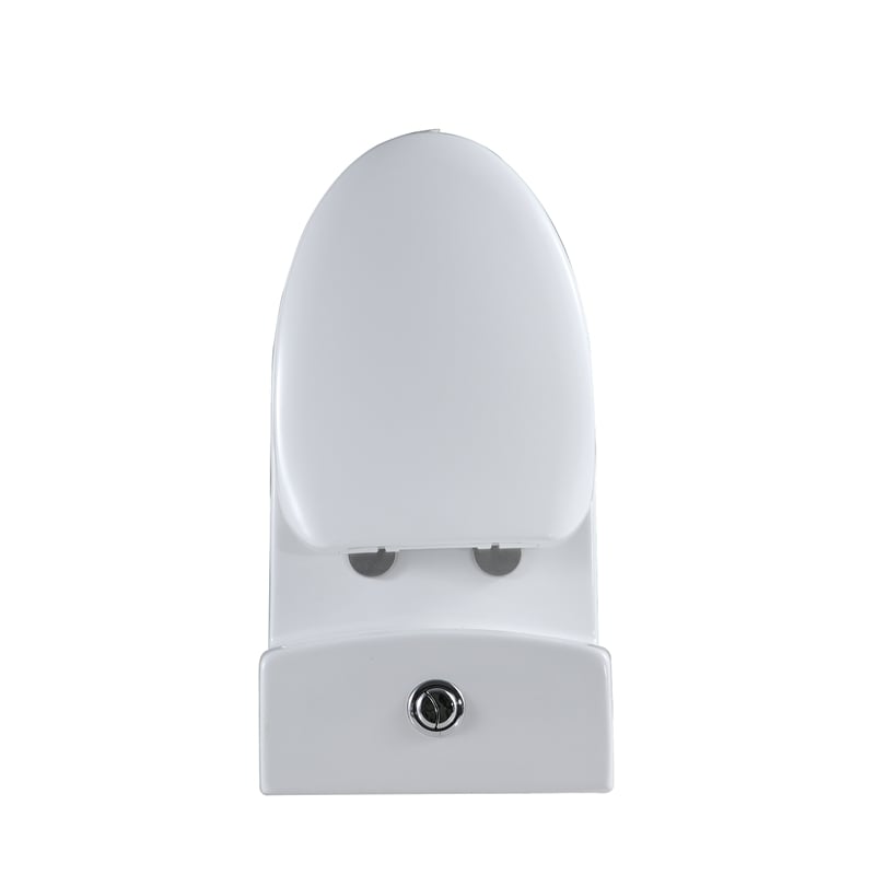 Pemberly Row 1-Piece Dual Flush Elongated Ceramic Toilet in White Seat Included