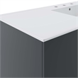 Pemberly Row Modern Wood Single Sink Bathroom Vanity in Gray/White