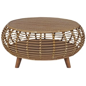 Pemberly Row Transitional Rattan Coffee Table in Natural/Gray