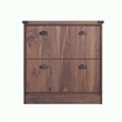 Pemberly Row Engineered Wood Contemporary Lateral Filing Cabinet in Dark Walnut