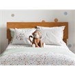 Pemberly Row Contemporary Twin Solid Wood Foundation Bed in Light Toffee