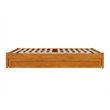 Pemberly Row Queen Wood Panel Platform Bed with Twin XL Trundle in Light Toffee