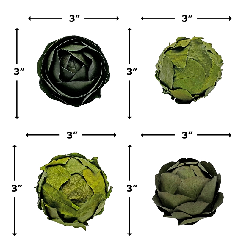 Pemberly Row Preserved Decorative Real Leaves Topiary Ball in Green