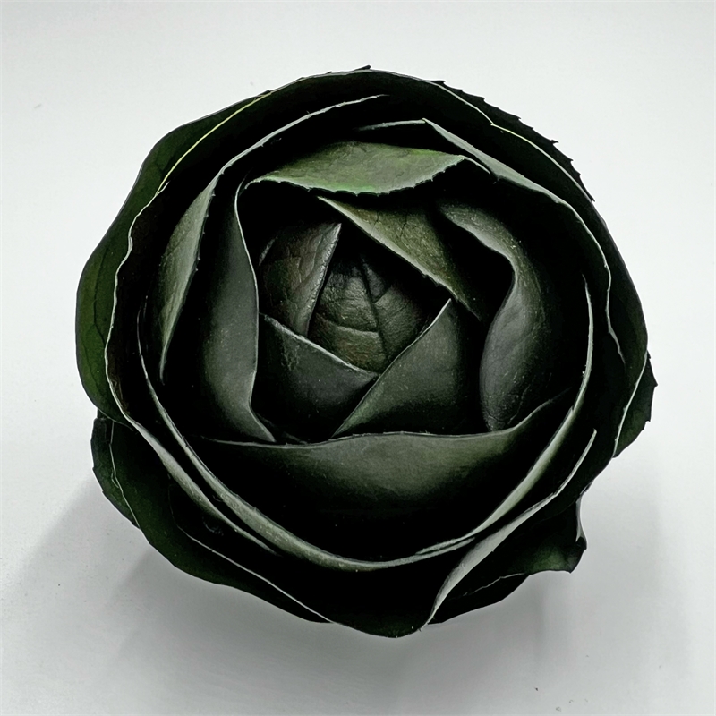 Pemberly Row Preserved Decorative Real Leaves Topiary Ball in Green