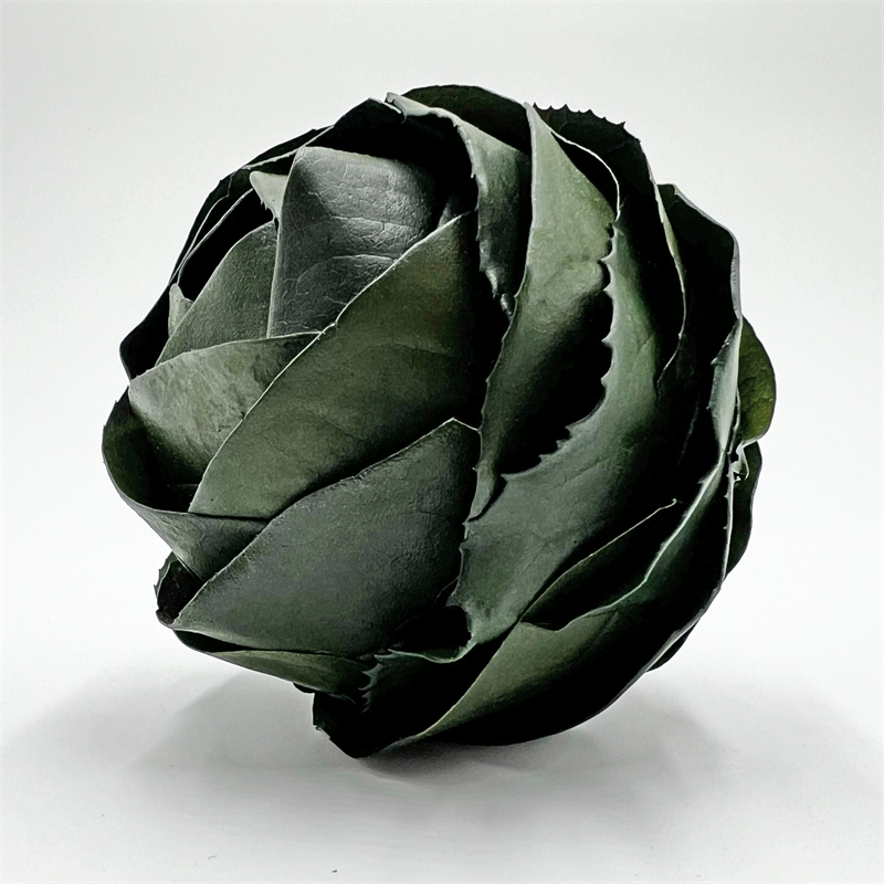 Pemberly Row Preserved Decorative Real Leaves Topiary Ball in Green