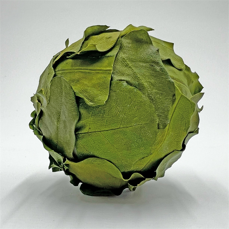Pemberly Row Preserved Decorative Real Leaves Topiary Ball in Green