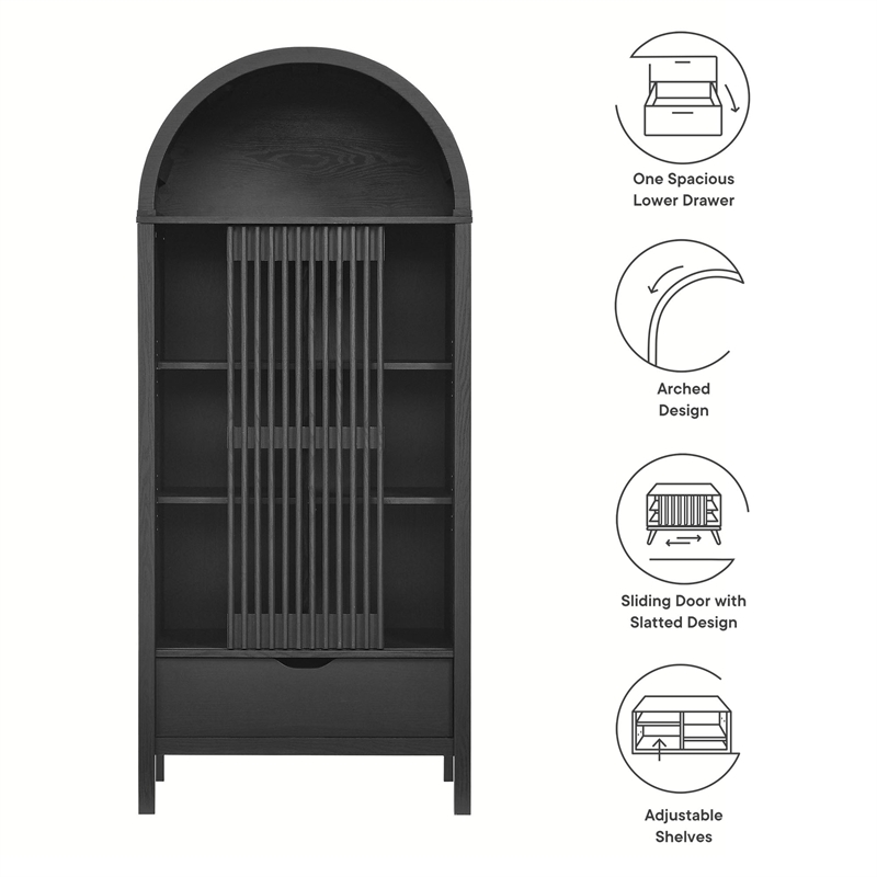 Pemberly Row Modern / Contemporary Storage Display Cabinet in Black