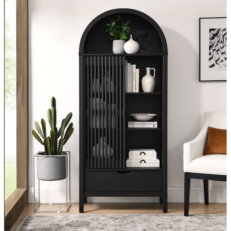 Pemberly Row Modern / Contemporary Storage Display Cabinet in Black