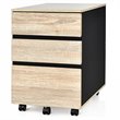 Pemberly Row 3-Drawer Engineered Wood Vertical Mobile Filling Cabinet in Natural