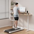 Pemberly Row Walking Pad with 265 lbs Capacity Remote Control Treadmill in Gray