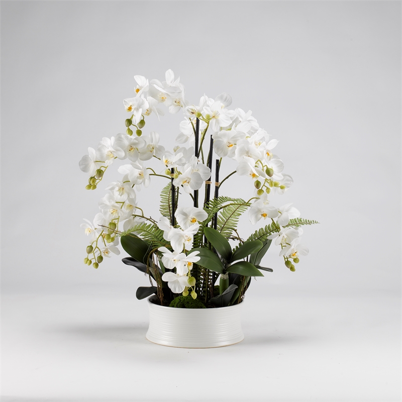 Pemberly Row Contemporary White Orchids in Round Ceramic Dish