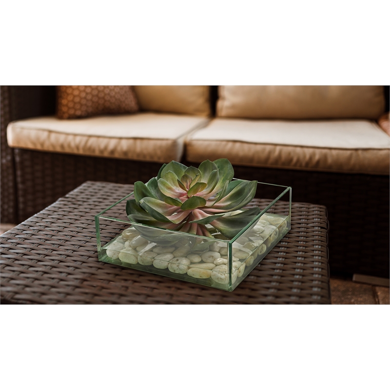 Pemberly Row Contemporary Pink/Green Echeveria in Marina Bowl
