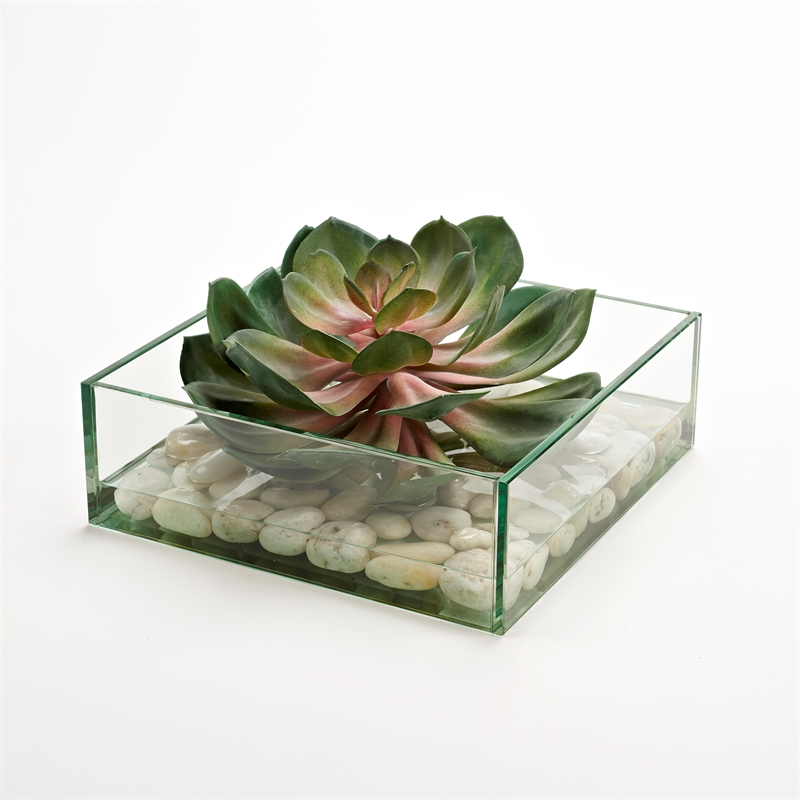 Pemberly Row Contemporary Pink/Green Echeveria in Marina Bowl
