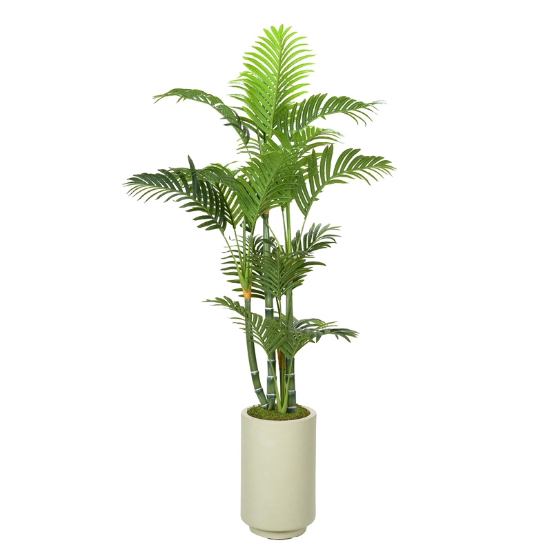 Pemberly Row Contemporary Green Trunk Areca Palm in Rainey Vase