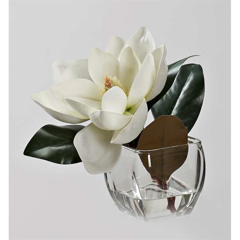 Pemberly Row Contemporary White Eva Magnolia Stem in Bevel Vase