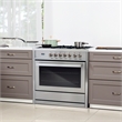 Pemberly Row 36 in. Stainless Steel Dual Fuel Range with Convection Oven