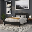 Pemberly Row Contemporary Tufted Queen Panel Headboard in Black