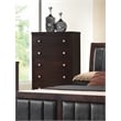 Pemberly Row 5-Piece Wood Queen Panel Bedroom Set in Cappuccino