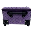 Pemberly Row Traditional Polyester 4-Piece Luggage Set in Purple