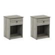 Pemberly Row Set of 2 Wood Nightstands with One Drawer in French Oak Gray