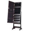 Pemberly Row Contemporary MDF Jewelry Cabinet with LED Lights in Brown