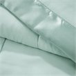 Pemberly Row Polyester Microfiber 3M Solid Blanket in Seafoam Green