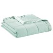 Pemberly Row Polyester Microfiber 3M Solid Blanket in Seafoam Green