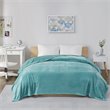 Pemberly Row Polyester Solid Microlight Plush Oversized Blanket in Aqua
